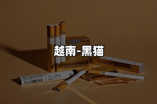 越南黑猫